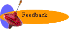 Feedback