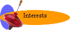 Interests