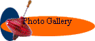 Photo Gallery